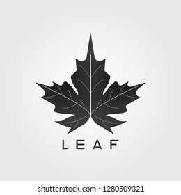 Leaf logo design templates, vector logo for business corporate, nature , elements, illustration