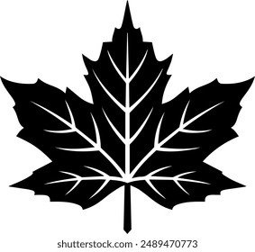 leaf logo design vector file