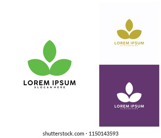 Leaf Logo Design Vector, Green logo template, Nature icon