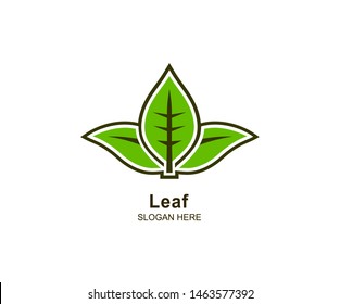 Leaf logo design vector illustration template, flat design