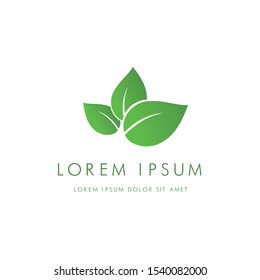 leaf logo design, vector illustration