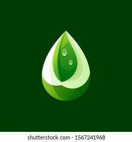 leaf logo design vector illustration