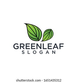 leaf logo design vector illustration