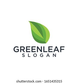 leaf logo design vector illustration