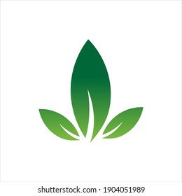 Leaf logo design, vector natural concept inspiration, leaf icon