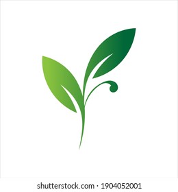Leaf logo design, vector natural concept inspiration, leaf icon