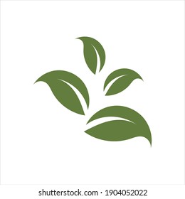 Leaf logo design, vector natural concept inspiration, leaf icon
