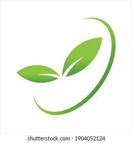Leaf logo design, vector natural concept inspiration, leaf icon