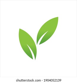 Leaf logo design, vector natural concept inspiration, leaf icon