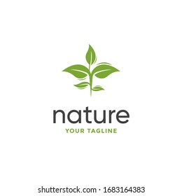 leaf logo design vector for nature symbol template editable
