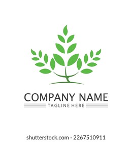 leaf logo design vector for nature symbol template editable,Green leaf logo ecology nature element vector icon.
