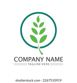 leaf logo design vector for nature symbol template editable,Green leaf logo ecology nature element vector icon.
