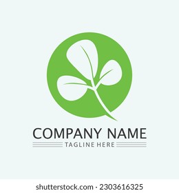 leaf logo design vector for nature symbol template editable,Green leaf logo ecology nature element vector icon.

