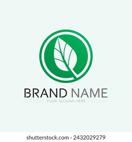 vector de diseño de logotipo de hoja para plantilla de símbolo de naturaleza editable, icono de vector de elemento de naturaleza de ecología de logotipo de hoja verde.
