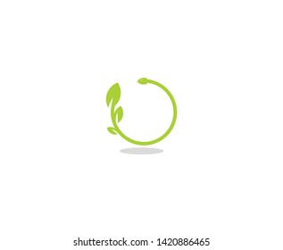 Leaf logo design vector plant 
