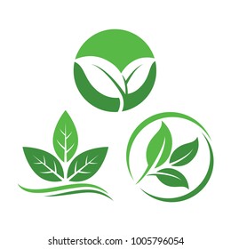 Leaf Logo Design Vector Set