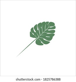 leaf logo design vector silhouette