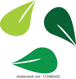 Material vectorial de diseño de logotipo de hoja