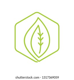 Leaf Logo Design Vector Template Isolated