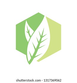 Leaf Logo Design Vector Template Isolated