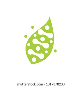 Leaf Logo Design Vector Template Isolated