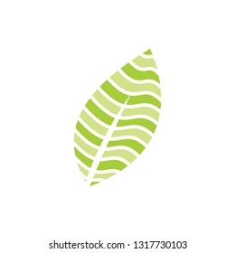 Leaf Logo Design Vector Template Isolated