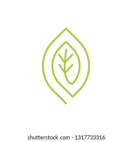 Leaf Logo Design Vector Template Isolated