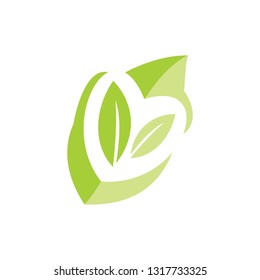Leaf Logo Design Vector Template Isolated