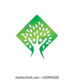 Leaf Logo Design Vector Template Set