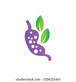 Leaf Logo Design Vector Template Set