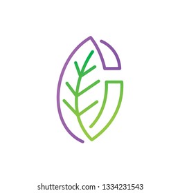 Leaf Logo Design Vector Template Set