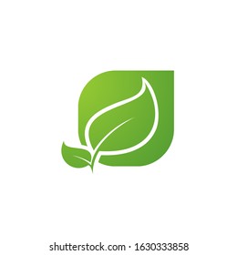 leaf logo design vector template