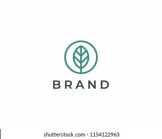 leaf logo design vector. Universal leaf logo.