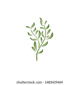 Leaf Logo Design Vectors Template Unique