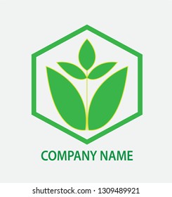 Leaf logo designs in light green hexagon boxes with color variations for companies or communities that are suitable, easy to edit and customize