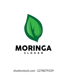 Leaf Logo, Eco Green Plant Vector, Green Earth Care Recycling Design, Moringa Leaf Logo Icon Template Illustration