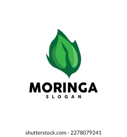 Leaf Logo, Eco Green Plant Vector, Green Earth Care Recycling Design, Moringa Leaf Logo Icon Template Illustration