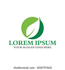 leaf logo , environment logo vector