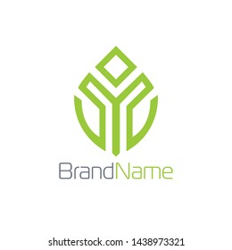 Leaf logo formed letter Y in green color