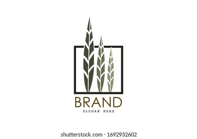 Leaf logo, free hand vector leaf, three leaves with frame and brand