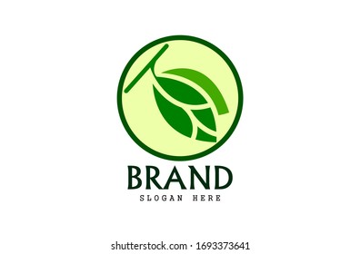 Leaf logo, free hand vector leaf,two green leaf with circle frame and brand
