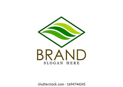 Leaf logo, free hand vector leaf, three green leaves with frame and brand