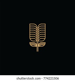 leaf logo golden color vector. on black background