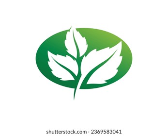 Leaf logo gradient colorful design. leaf logo vector