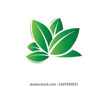 Leaf logo gradient colorful design. leaf logo vector