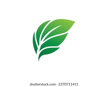 Ilustraciones de diseño coloreadas con el logotipo de la hoja