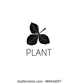 leaf logo graphic design concept. Editable leaf element, can be used as logotype, icon, template in web and print 