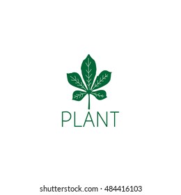 leaf logo graphic design concept. Editable leaf element, can be used as logotype, icon, template in web and print 