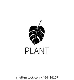 leaf logo graphic design concept. Editable leaf element, can be used as logotype, icon, template in web and print 