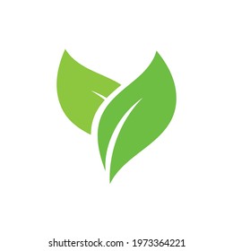  leaf logo green ecology nature element vector